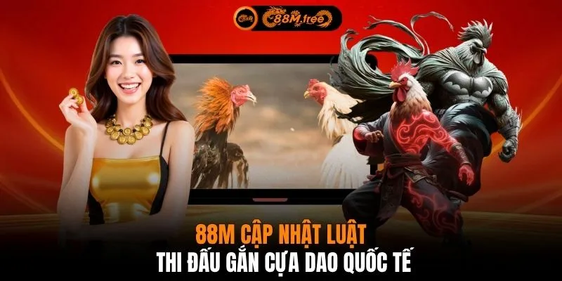 88M cập nhật luật thi đấu gắn cựa dao quốc tế