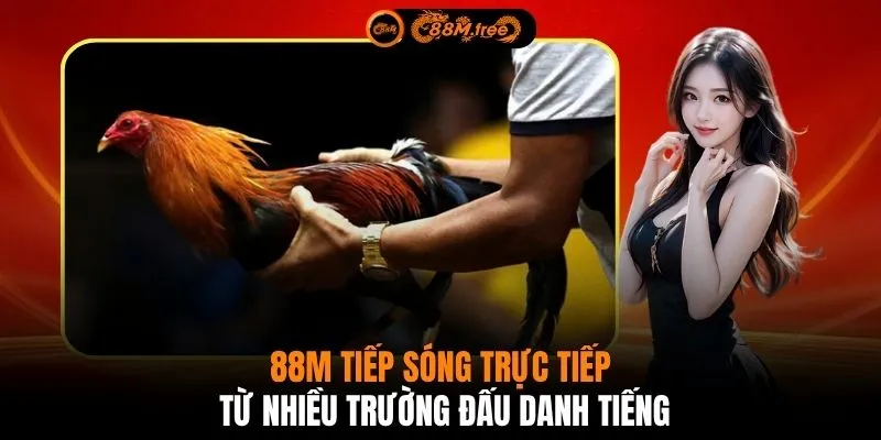 88M tiếp sóng trực tiếp từ nhiều trường đấu danh tiếng