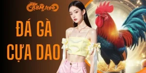 Đá Gà Cựa Dao