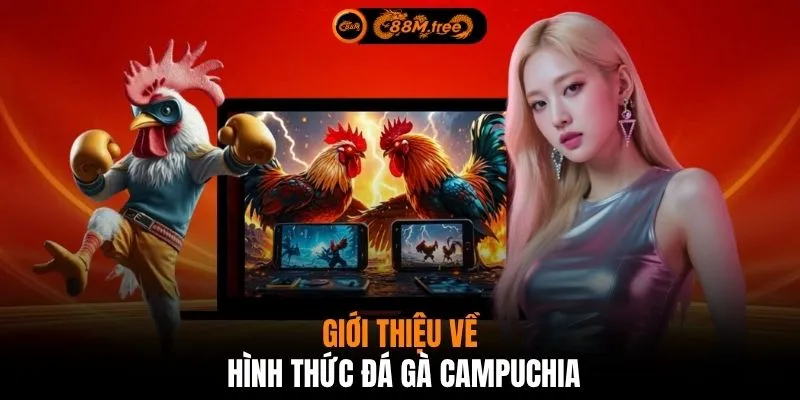 Giới thiệu về hình thức đá gà Campuchia