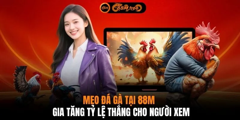Mẹo đá gà tại 88M gia tăng tỷ lệ thắng cho người xem