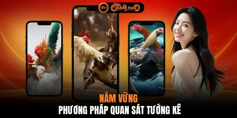 Nắm vững phương pháp quan sát tướng kê
