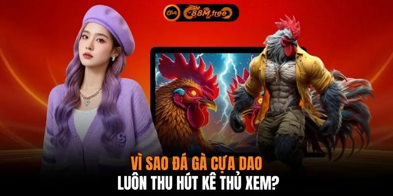 Vì sao đá gà cựa dao luôn thu hút kê thủ xem?